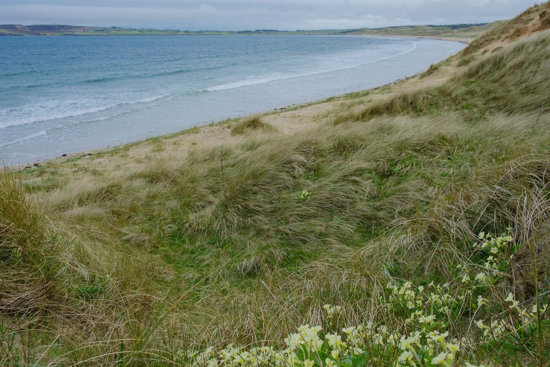 Gills Bay